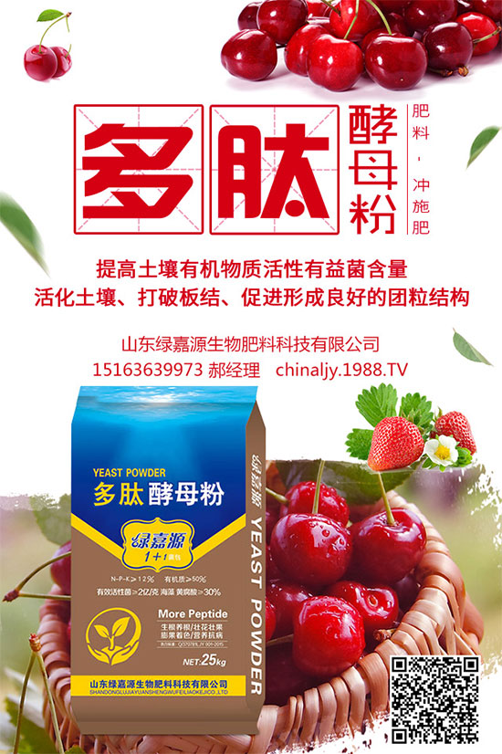 荊芥該如何種植？荊芥的種植環(huán)境要求