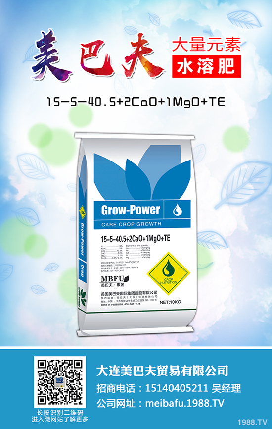 2020種植蒲公英賺錢嗎，蒲公英的種植前景和利潤怎么樣？