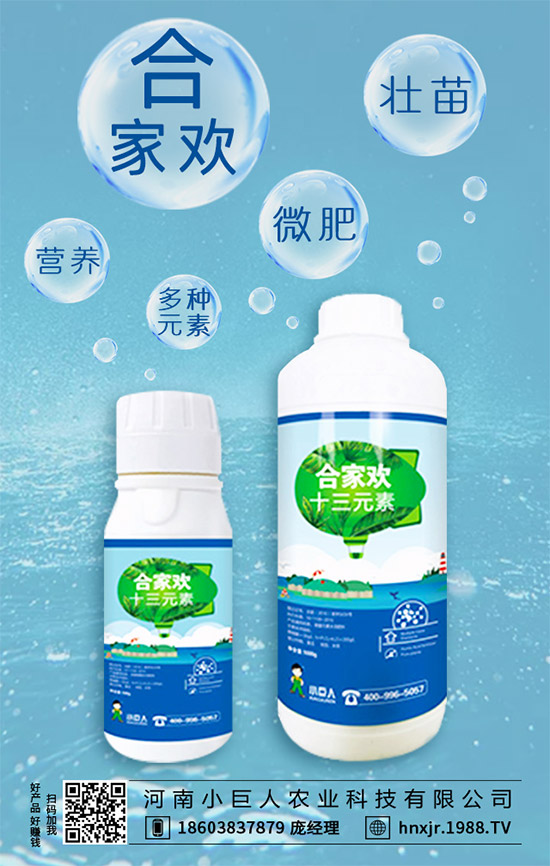 茶樹菇有哪些營養(yǎng)價(jià)值？茶樹菇的功效與作用！