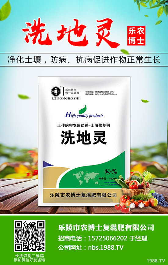 莧菜什么時(shí)候種植,莧菜的種植時(shí)間和方法!