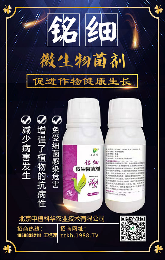 ��ռ�̙C(j��)���������A��������ֲ���A�ٺ�1988.TV���ل�(chu��ng)���x�ͣ�