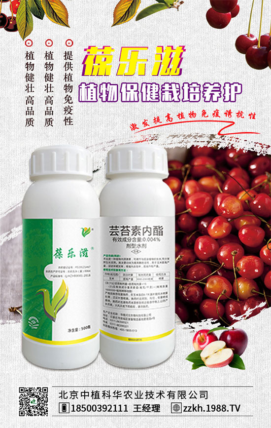 ��ռ�̙C(j��)���������A��������ֲ���A�ٺ�1988.TV���ل�(chu��ng)���x�ͣ�