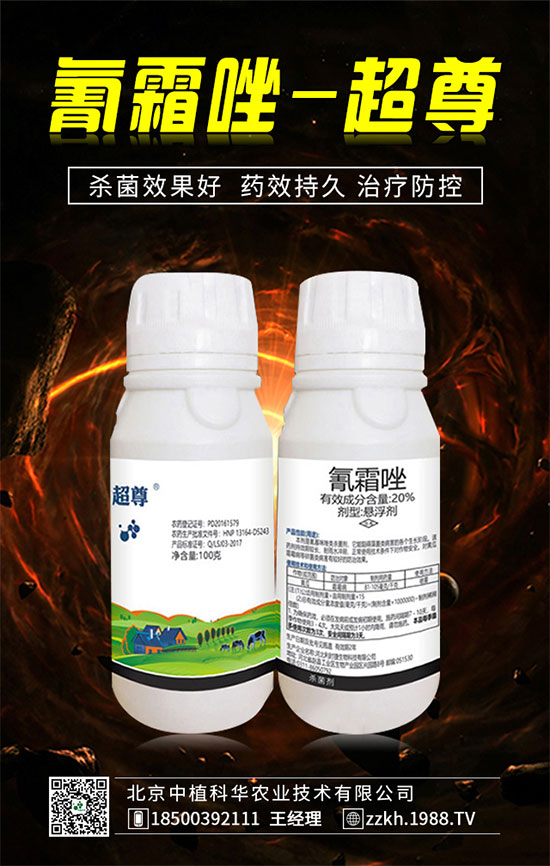 ��ռ�̙C(j��)���������A��������ֲ���A�ٺ�1988.TV���ل�(chu��ng)���x����