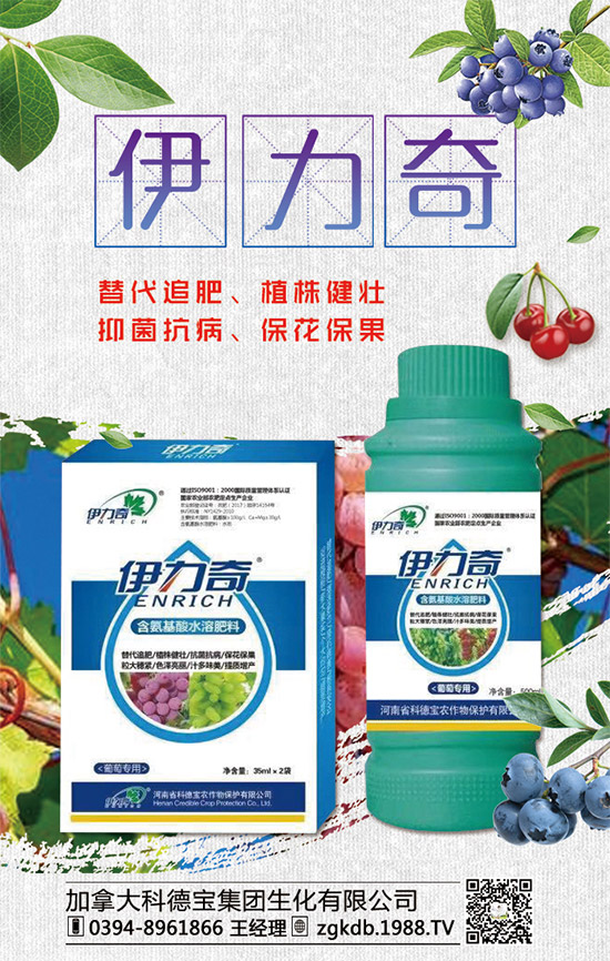     臨近年關(guān)！二銨行情是否上?。?020年二銨價(jià)格行情走勢(shì)預(yù)測(cè)！