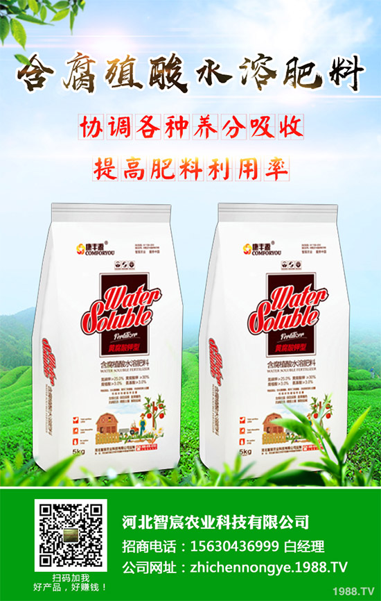 綠花菜該怎么種?綠花菜的高產(chǎn)種植技術(shù)