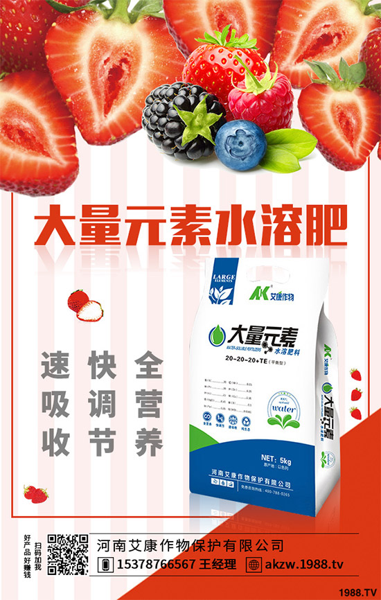 老虎姜該怎么種植？老虎姜高產種植技術管理