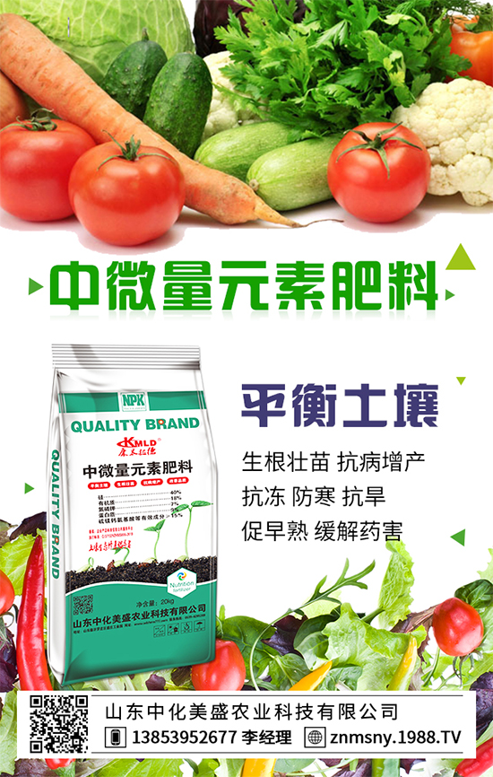 茶樹菇如何種植？茶樹菇的種植技術(shù)！