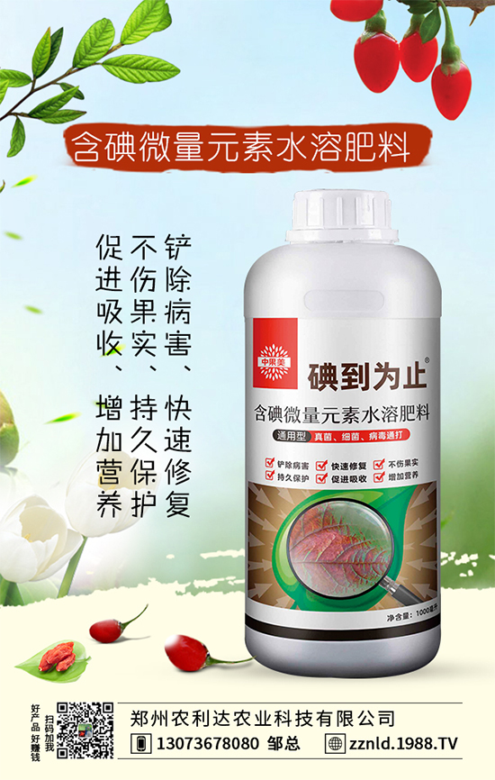 紅蘿卜如何管理才能豐收？六大科學(xué)管理我們知道嗎？