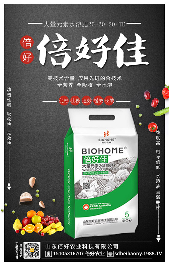 2020年春節(jié)將至!復(fù)合肥市場復(fù)蘇?最新復(fù)合肥行情報價!