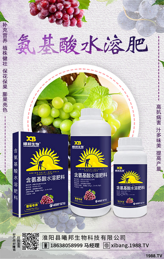 明年種植什么更賺錢？2020年七大賺錢種植項(xiàng)目，快來(lái)看看吧！