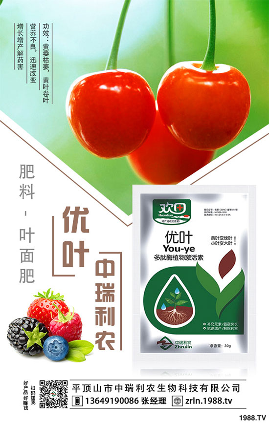 芋頭的品種選擇，芋頭種植需要哪些注意事項？