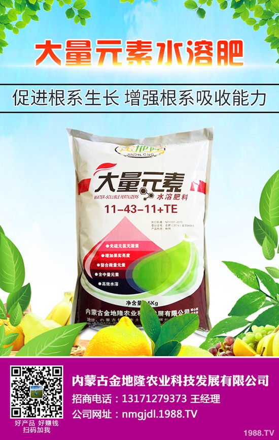 2020春玉米更佳播種時間,春玉米的播種技術(shù)要點