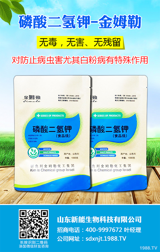 魔芋價格多少錢一斤?2020年魔芋種植的市場行情