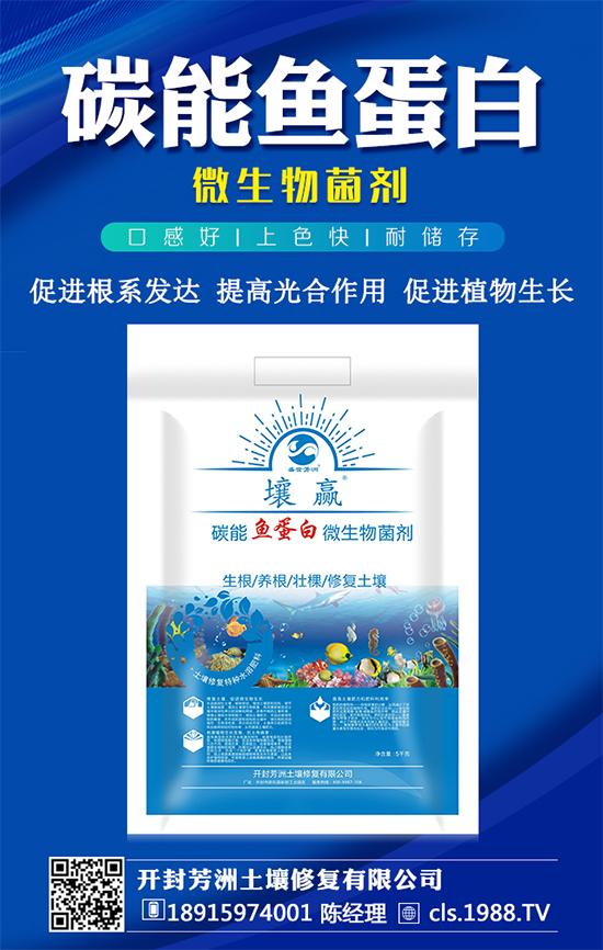 黃皮果種植管理要點，黃皮果種植條件有哪些？