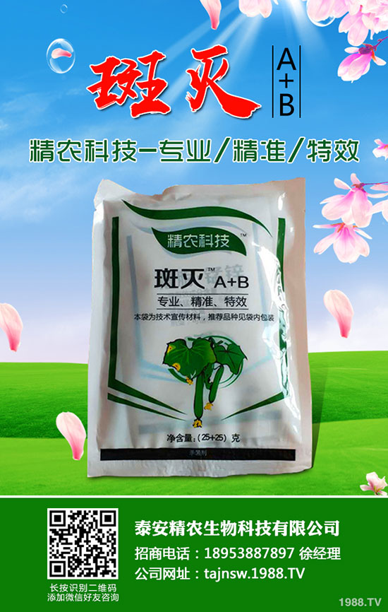 吃蠶豆對(duì)人體有哪些好處，蠶豆的功效與營(yíng)養(yǎng)價(jià)值！