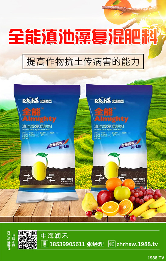 新鮮天麻和干天麻有哪些區(qū)別？那個(gè)效果更好？