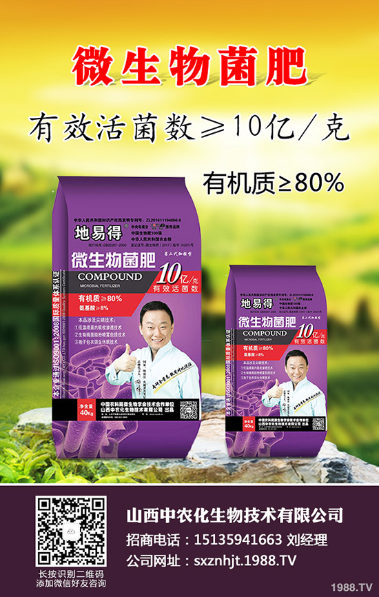     2020早春玉米在那些地區(qū)種植合適？春玉米種植播種時期及技術要點！