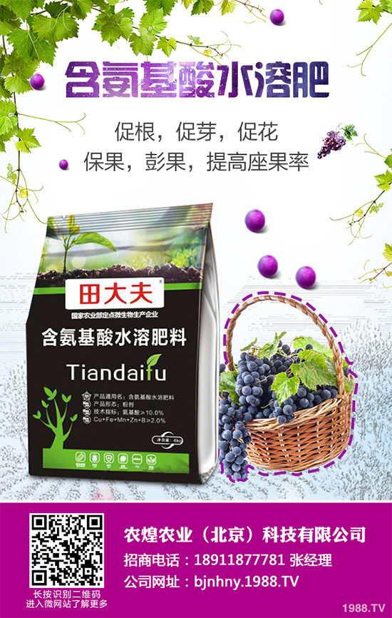 降雪過(guò)后,蔬菜大棚你知道該怎么管理嗎?