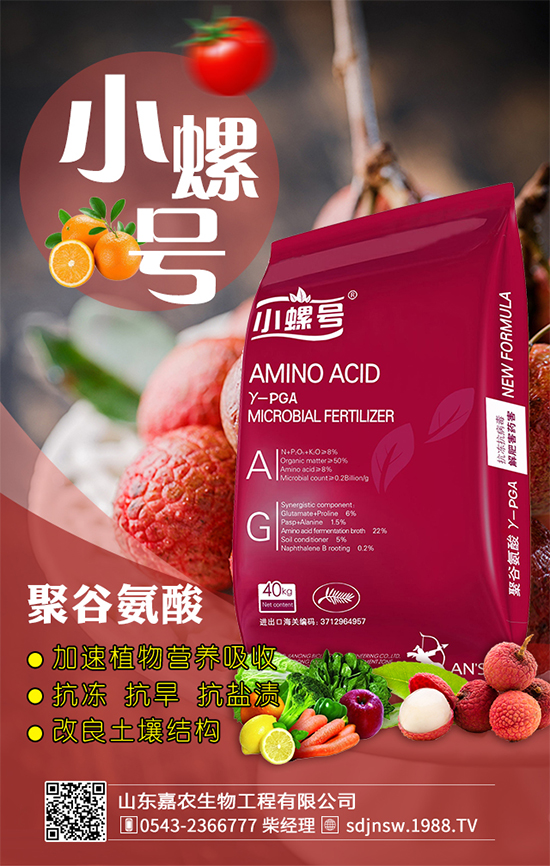 金針菇什么時間栽培？金針菇生長條件！