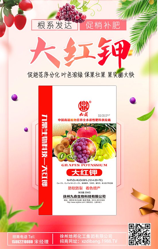 蘋果斑點落葉病啥癥狀？蘋果斑點落葉病怎么防治？