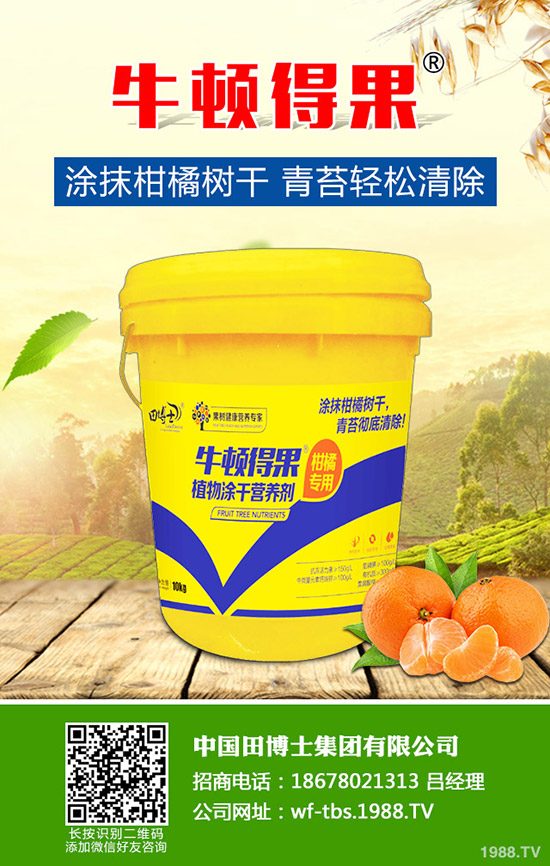 2020種草莓賺錢嗎?草莓種植的成本及前景預測!