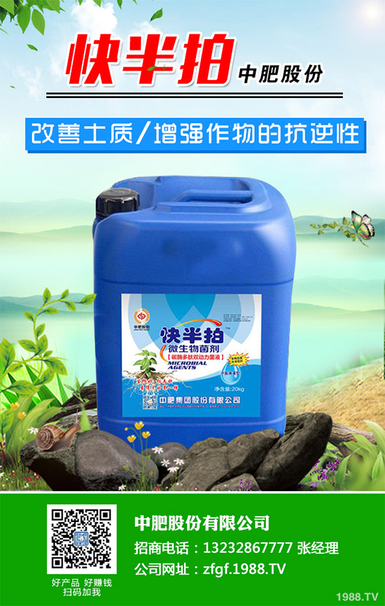 金線蓮該如何種植？金線蓮的種植及養(yǎng)管理