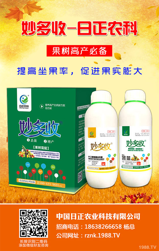 金線蓮該如何種植？金線蓮的種植及養(yǎng)管理