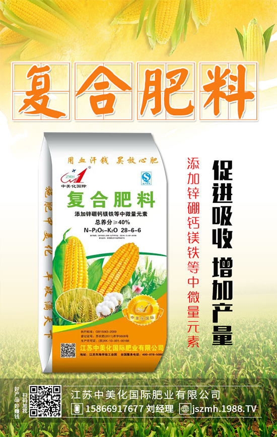 2019年12月31日今日最新復(fù)合肥價格行情動態(tài)早報!