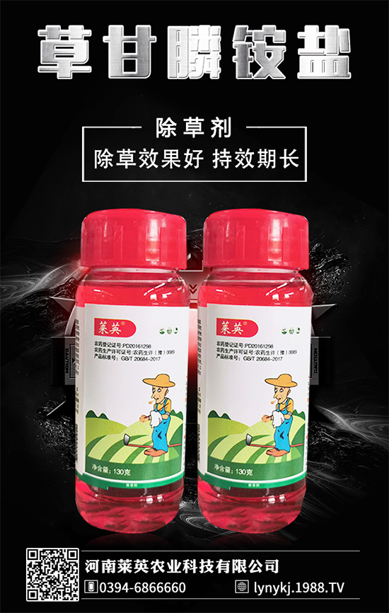     橙子價(jià)格如何？貴么？2020種植橙子賺錢么？種植前景怎么樣？