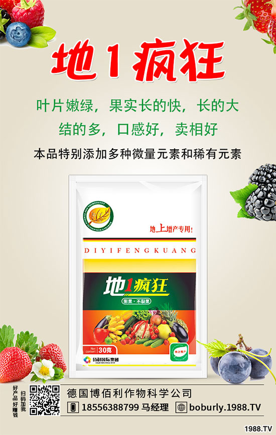 山藥豆的功效與作用有哪些，哪些人不適合吃山藥豆？