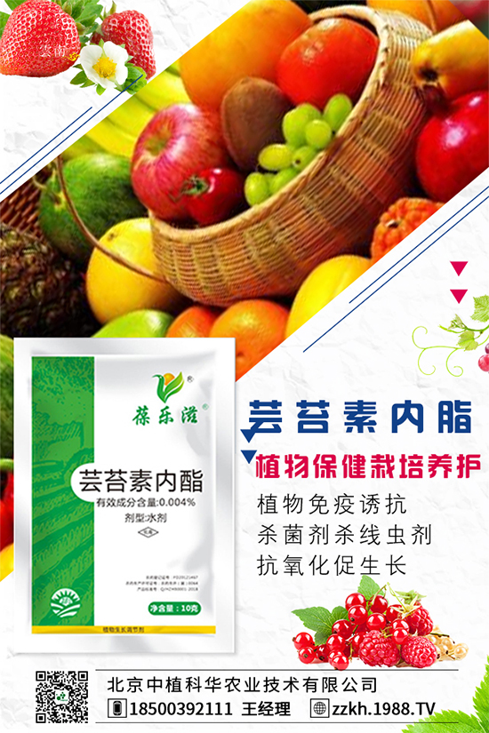 彩椒什么時(shí)間種植？彩椒的高產(chǎn)種植方法！