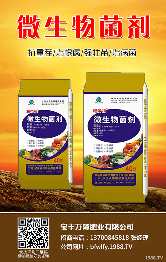 花生什么時候種植，花生播種技術(shù)要點總結(jié)