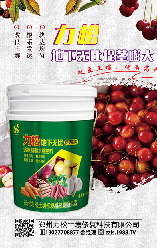     2019-12-4二銨冬儲(chǔ)推進(jìn)動(dòng)力不足！二銨價(jià)格行情分析快報(bào)！