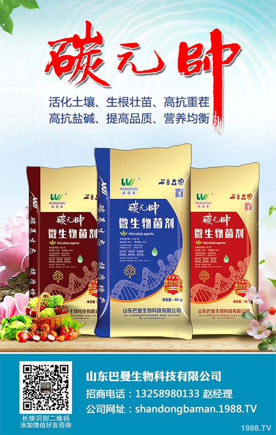 木耳菜有哪些營(yíng)養(yǎng)價(jià)值?木耳菜的功效作用