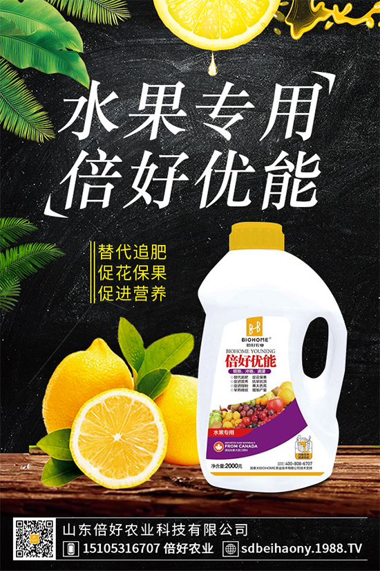 木耳菜有哪些營(yíng)養(yǎng)價(jià)值?木耳菜的功效作用