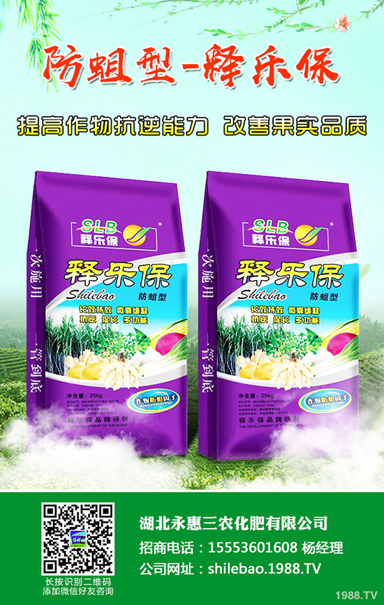     2020年柑桔多少錢(qián)一斤？過(guò)年前后柑桔的行情走勢(shì)如何？