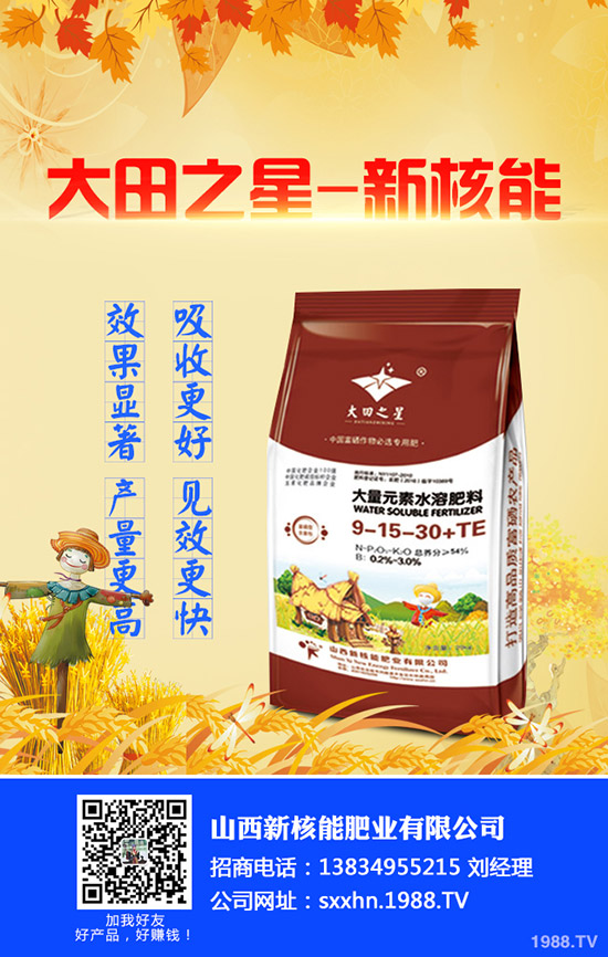     2020年早春辣椒什么時(shí)候種植？育苗技術(shù)及苗期管理要點(diǎn)！