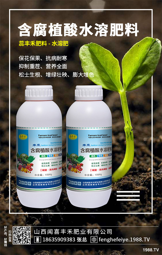 盆栽蔬菜該怎么種？盆栽蔬菜的高產(chǎn)種植技術(shù)