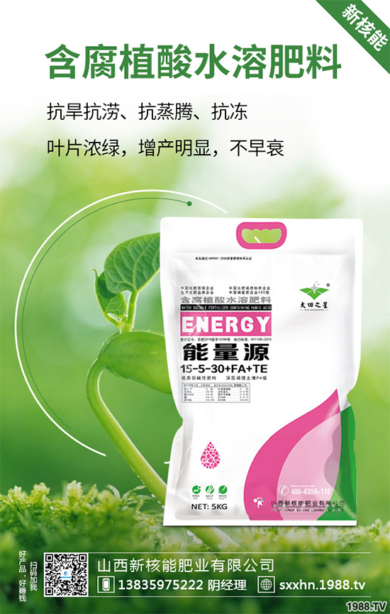 盆栽蔬菜該怎么種？盆栽蔬菜的高產(chǎn)種植技術(shù)