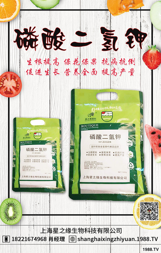 盆栽蔬菜有哪些品種？盆栽蔬菜的種植條件和注意事項(xiàng)