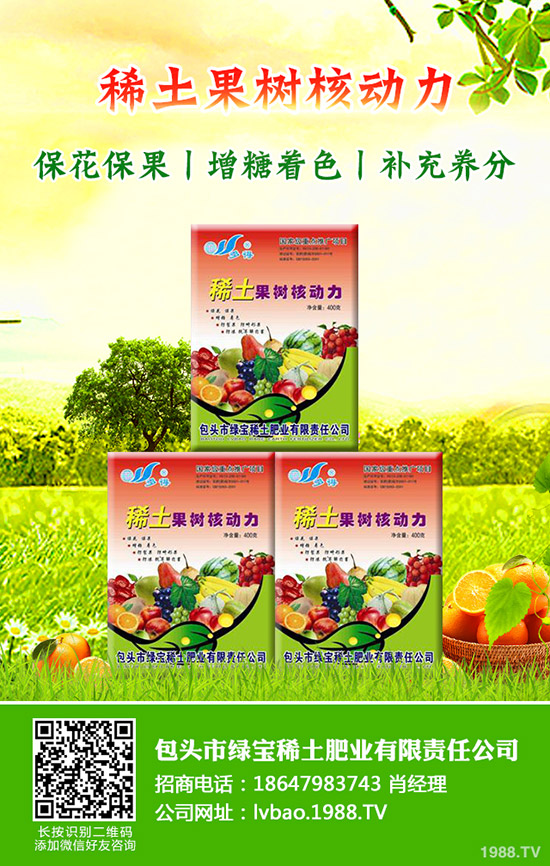 大棚西瓜該怎么育苗，大棚西瓜育苗需要掌握哪些知識