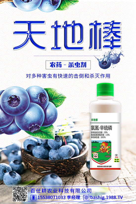 空心菜用什么肥好，空心菜的施肥技巧有哪些？