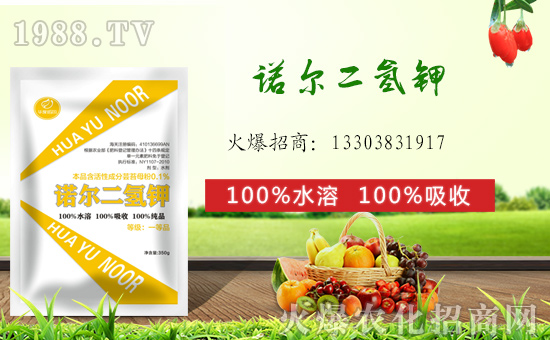 ��(zh��n)�Ժ���������(j��)�������Z����(gu��)�H�y��1988.TV�ل�(chu��ng)���x����