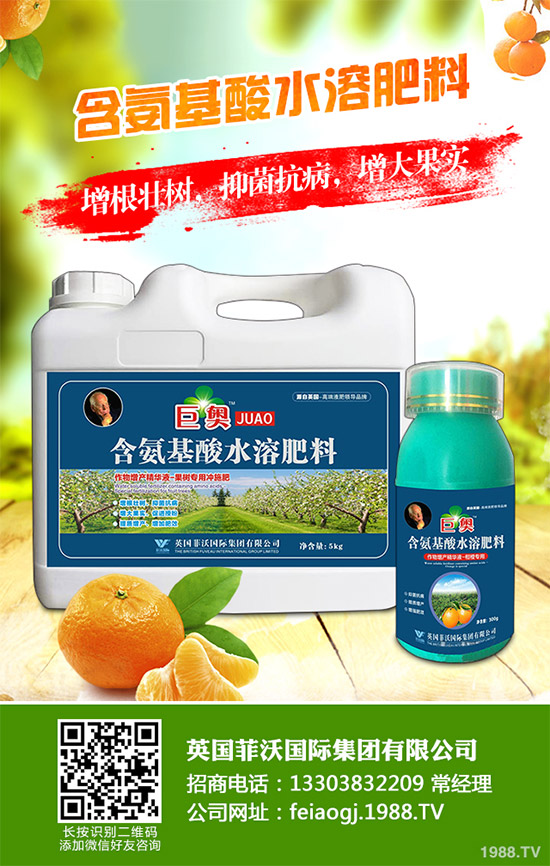 我國南方該怎樣種植藍莓？藍莓高產(chǎn)種植技術要點