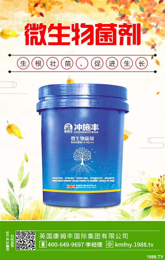 我國南方該怎樣種植藍莓？藍莓高產(chǎn)種植技術要點