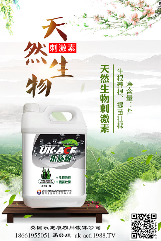 冬季該如何栽培馬鈴薯？七步輕松獲得高產(chǎn)