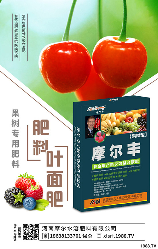 黃精種植到底掙不掙錢？黃精種植要點分析！