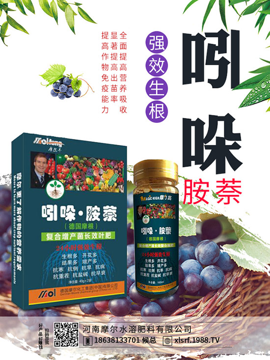 煙草主產(chǎn)地在哪里,煙草種植方法有哪些?