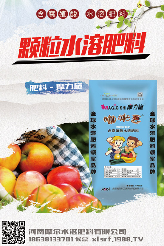 葉面肥種類有哪些，如何正確使用葉面肥？