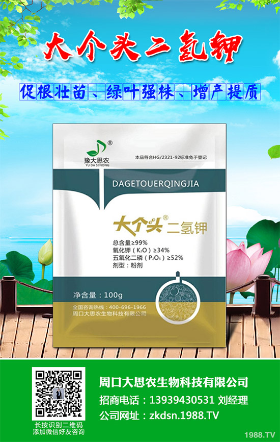 洋薊該如何種植？洋薊高產(chǎn)種植技術(shù)方案